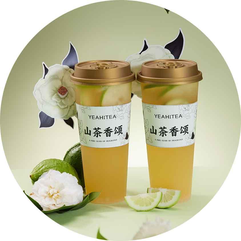 山茶花大口茶