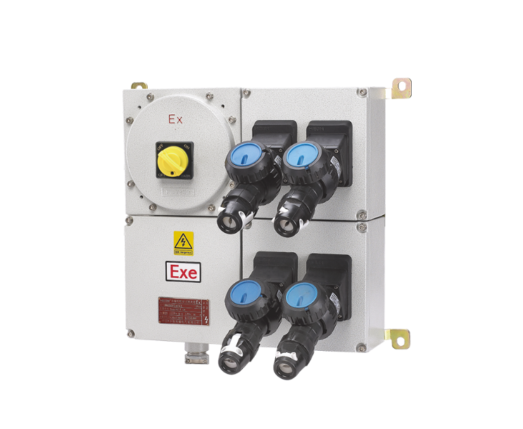 BM(D)X□-□系列防爆照明（动力）配电箱(IIB, IIC, IIIC)（检修电源插座箱）